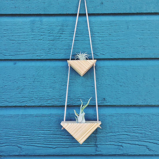 Triangle Air Plant Wall Hanging