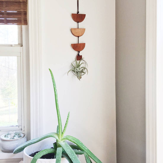 Load image into Gallery viewer, U-Shaped Air Plant Wall Hanging
