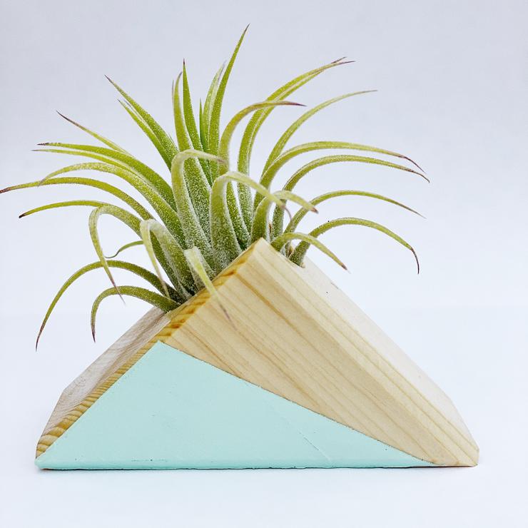 Triangle Air Plant Magnet