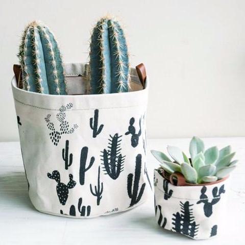 Small Cactus Print Planter - Favor & Fern