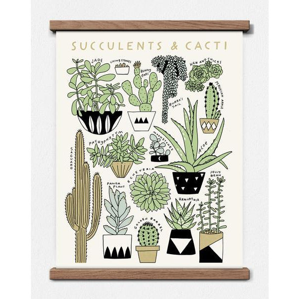 Succulent & Cacti Identification Print - Favor & Fern