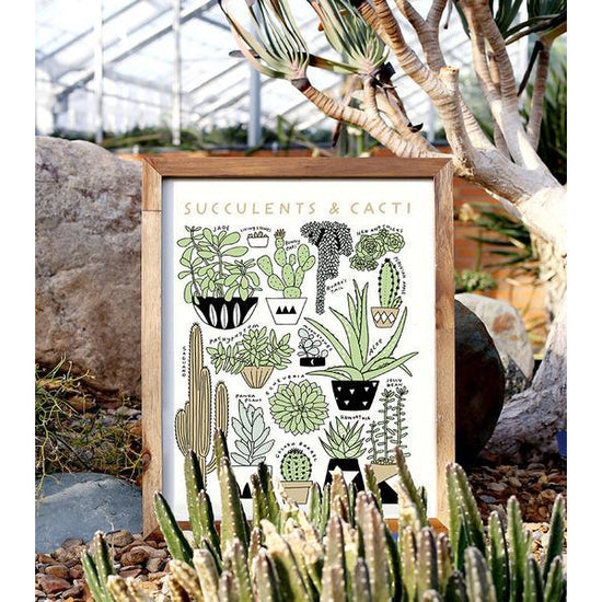 Succulent & Cacti Identification Print - Favor & Fern